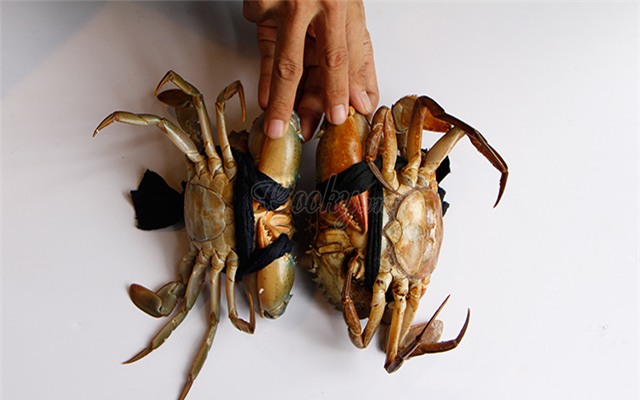 meo-chon-cua-bien-ngon-5