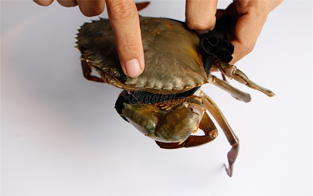 meo-chon-cua-bien-ngon-6