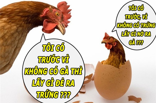 Đã có lời giải cho bài toán gà hay trứng gà có trước - 1