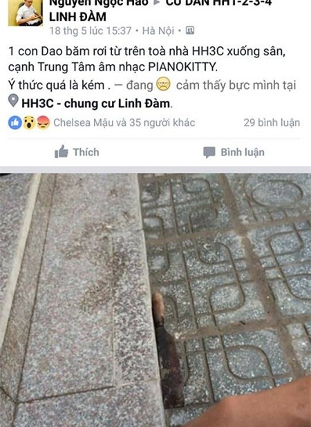 Dao to rơi xuống sân cách người đi bộ ít mét. Ảnh: Nhóm cư dân HH