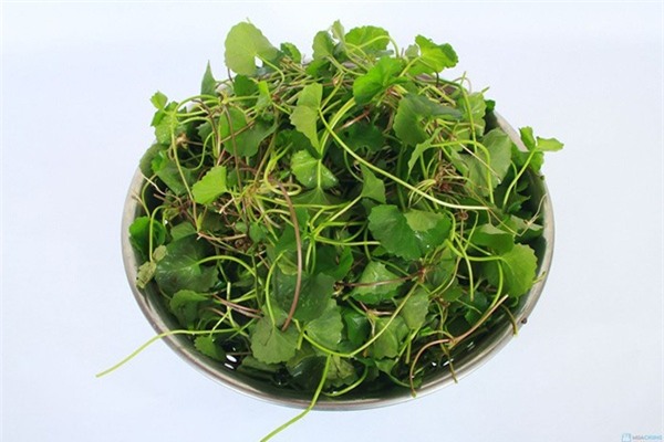 8 cách xóa bỏ những đốm thâm ở chân để bạn tự tin diện váy ngắn