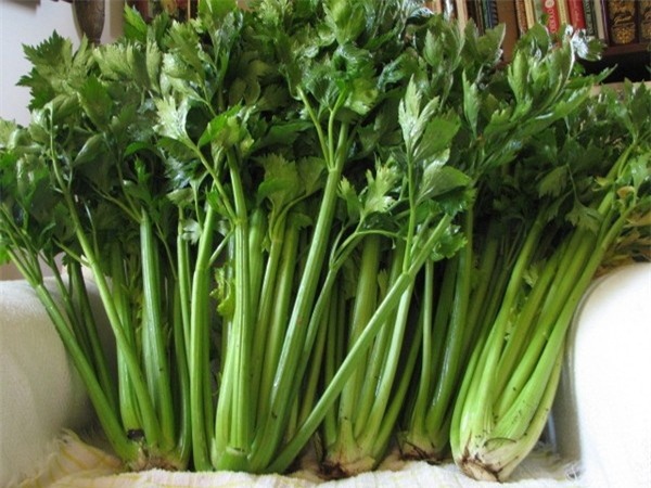 8 cách xóa bỏ những vết thâm ở chân để tự tin diện váy ngắn