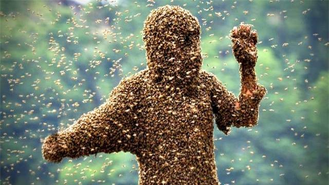 thanh nien my bi nghin con ong rung dot chet hinh anh 1