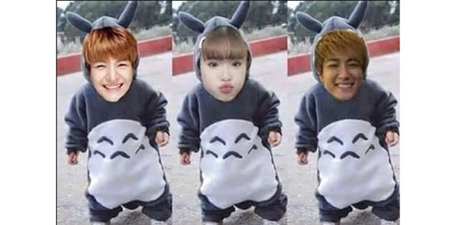 nhung buc anh gan trieu like cua khoi my hinh anh 14