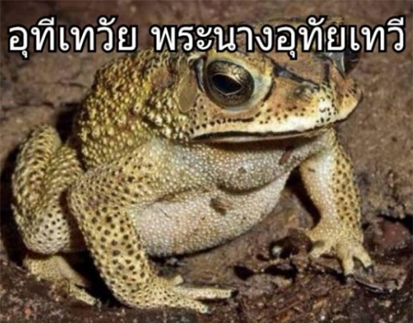 tác hại của kem trộn