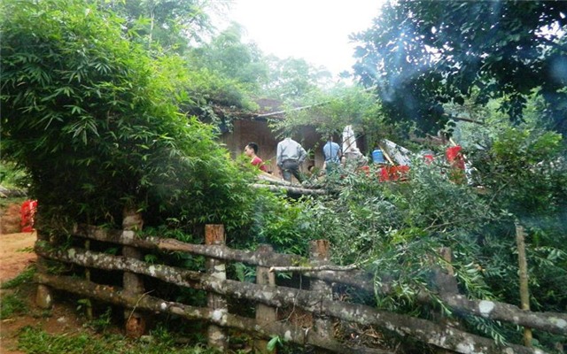 bạn nhậu, cướp tài sản, giết vợ bạn