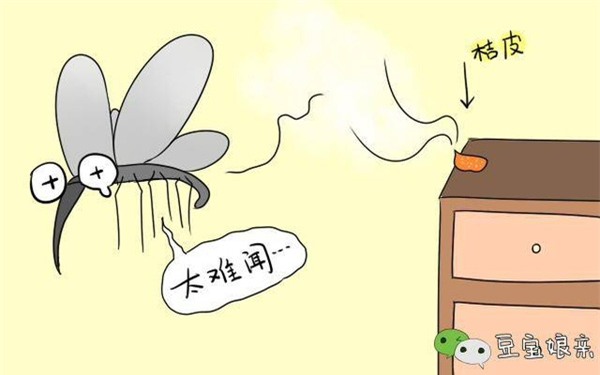 Duoi muoi 3