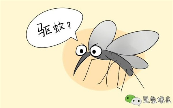 Duoi muoi 5