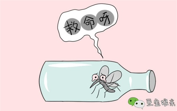 Duoi muoi 6