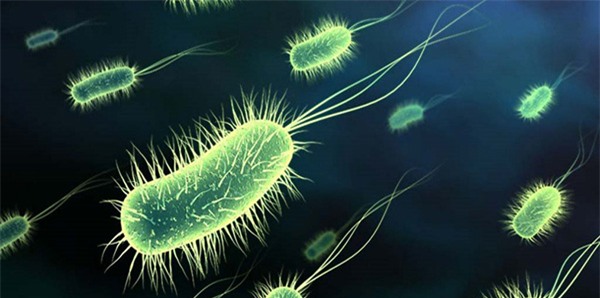 10 vi khuẩn cần phải đề phòng khi thời đại kháng kháng sinh đã đến - Ảnh 1.