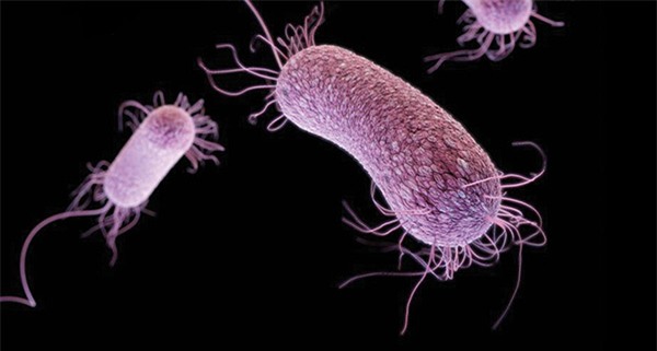 10 vi khuẩn cần phải đề phòng khi thời đại kháng kháng sinh đã đến - Ảnh 4.