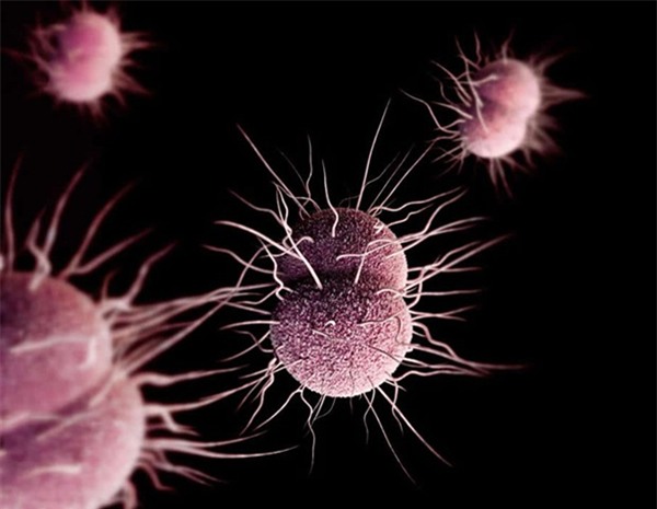 10 vi khuẩn cần phải đề phòng khi thời đại kháng kháng sinh đã đến - Ảnh 7.