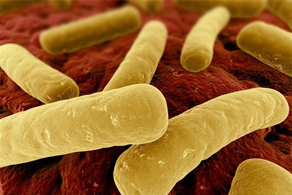 10 vi khuẩn cần phải đề phòng khi thời đại kháng kháng sinh đã đến - Ảnh 9.