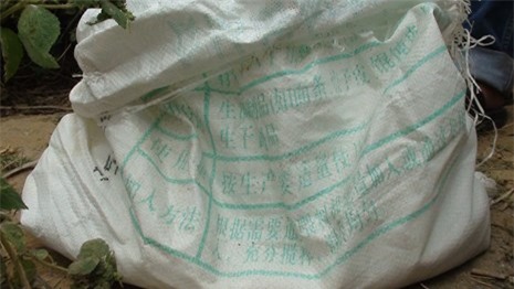 lòng heo, nội tạng, nội tạng trung quốc, nội tạng nhập khẩu, tẩy rửa nội tạng bằng hóa chất trung quốc, lòng heo thối