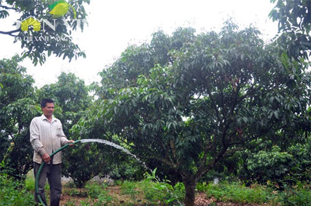 vai thieu chua vao vu da dat khach hinh anh 1