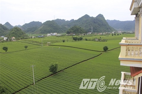 Tàng dự định xây tòa nhà thành khách sạn sang nhất Tây Bắc. Cả tòa nhà có 35 phòng, tất cả đều có ban công với view cực đẹp.