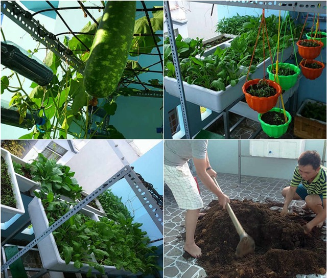 tự trồng rau sạch, trồng rau sạch tại nhà, tự tay trồng rau, trồng rau sân thượng, nông dân phố, trồng rau sạch tại gia, muôn kiểu trồng độc lạ