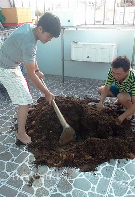 tự trồng rau sạch, trồng rau sạch tại nhà, tự tay trồng rau, trồng rau sân thượng, nông dân phố, trồng rau sạch tại gia, muôn kiểu trồng độc lạ