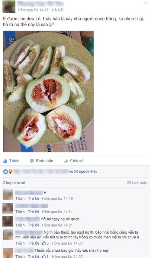 Thực hư chuyện dưa lê ruột đỏ do tiêm thuốc siêu ngọt? - 1