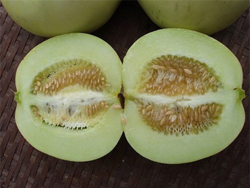 Thực hư chuyện dưa lê ruột đỏ do tiêm thuốc siêu ngọt? - 2