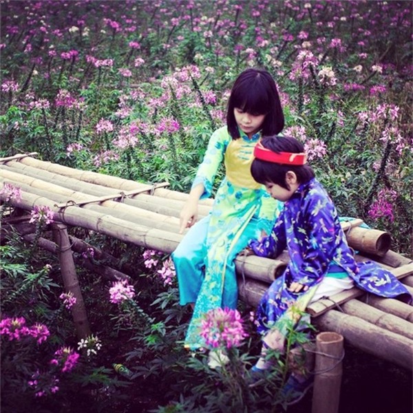 Những thiên thần của Phan Anh MC khiến nhiều người ghen tị