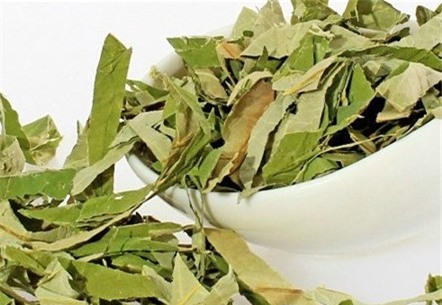 Tác dụng phụ đáng sợ khi uống nước lá sen sai cách - Ảnh 1.