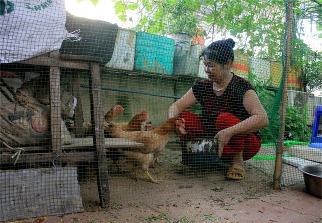 trồng rau, nuôi gà, tầng thượng, sân thượng, Hà Nội, ban công, vườn rau, Thủ đô,