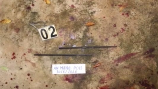 vac dao duoi danh vo, bi em vo chem chet hinh anh 1