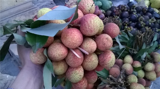 Vải đầu mùa siêu đắt lác đác xuất hiện tại Hà Nội khiến nhà giàu cũng sợ