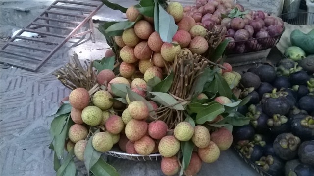 Do số lượng ít nên chỉ một số cửa hàng có vải để bán