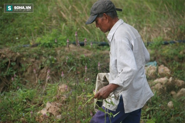 Lạnh sống lưng đi vào căn nhà không giống ai của dị nhân xứ Quảng - Ảnh 8.