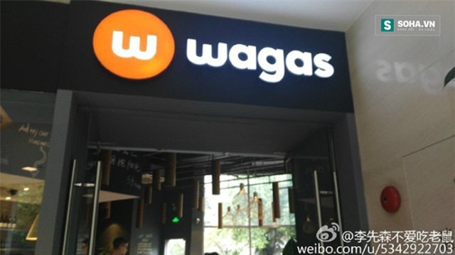 Thực khách tá hóa vì bị chuột nhảy dù trúng đầu - Ảnh 2.