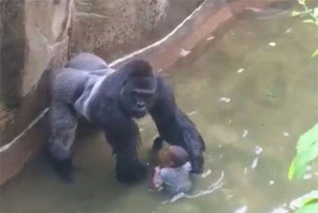 be 3 tuoi roi vao chuong khi dot: bo me bi dieu tra hinh anh 2