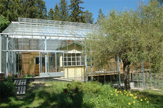 Ngôi nhà kính có 1 không 2 mang lại lợi ích không tưởng! - Ảnh 3.