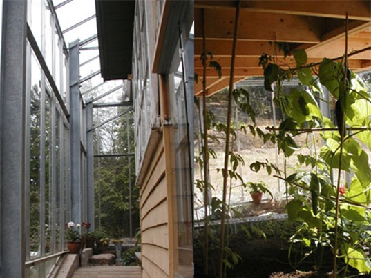 Ngôi nhà kính có 1 không 2 mang lại lợi ích không tưởng! - Ảnh 6.