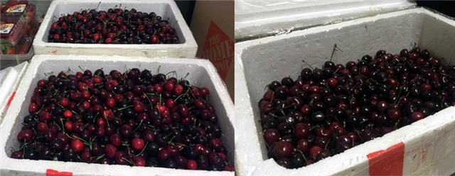 trộm cắp tại sân bay, nhân viên sân bay, nhân viên bốc xếp hàng hóa sân bay, Cục Hàng không, trộm cắp hành lý