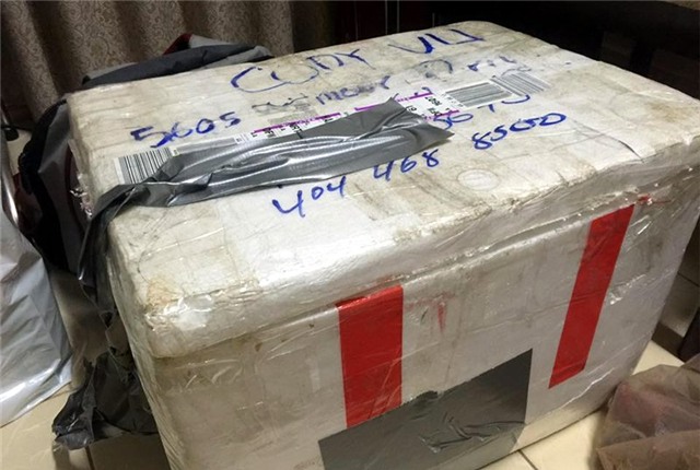 trộm cắp tại sân bay, nhân viên sân bay, nhân viên bốc xếp hàng hóa sân bay, Cục Hàng không, trộm cắp hành lý