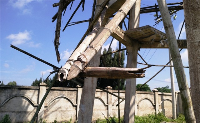 Hệ thống đà dáo xây tháp nước nằm ngổn ngang, nhiều cây luồng sau thời gian dài chịu mưa nắng đã bị mục ruỗng, có thể đổ sập bất cứ lúc nào. Sợ công trình đổ sập nhiều người dân dù xót của nhưng cũng không dám đến gần nhà máy.