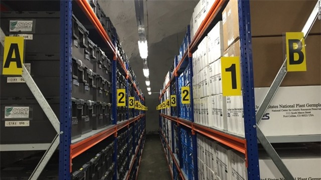 Đây là 5 vùng cấm địa bí ẩn nhất trên hành tinh - Ảnh 10.