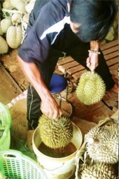 Mối nguy hiểm khi ăn trái cây tẩm hóa chất - Ảnh 1.