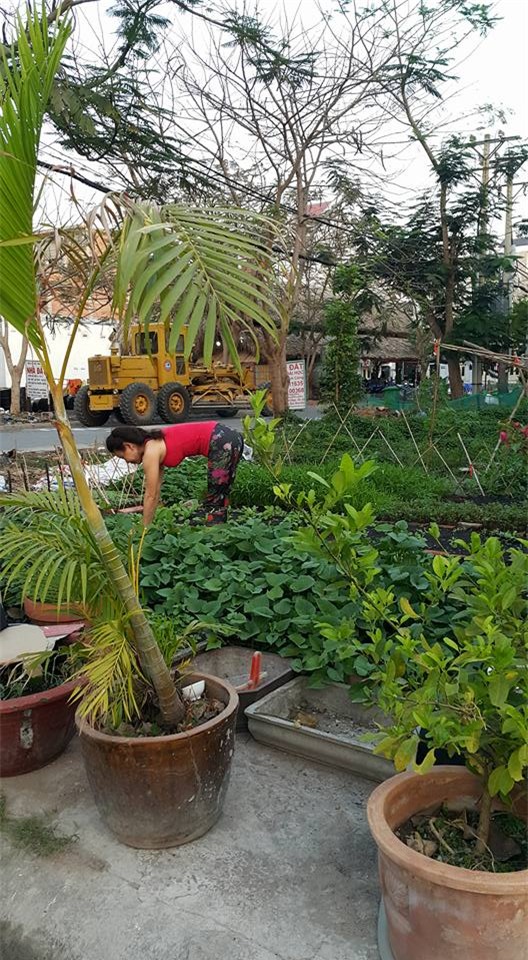 Cuộc sống giản dị trong biệt thự tiền tỷ của gia đình Hồ Ngọc Hà - Ảnh 21.