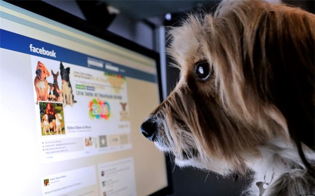 Suc manh cua nut share Facebook hinh anh 1