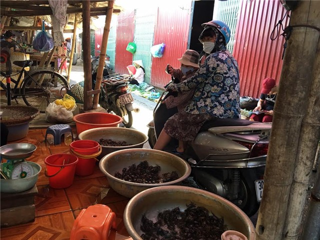 cua đồng, cua đồng ế ẩm, nắng nóng, cua đồng ế ẩm tại chợ, xếp hàng mua cua đồng