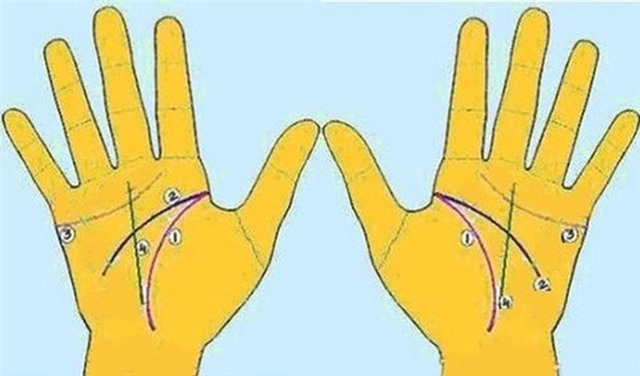 xem chi tay duong sinh menh hinh anh