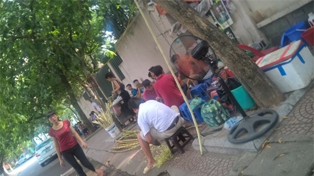 Róc hàng chục bó mía mỗi ngày, nhưng số tiền thu lời của nghề hót này rất lớn
