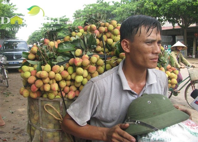 vai thieu giam san luong, gia tang hinh anh 1