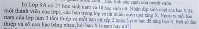 Bai toan thu vi 'X la nam hay nu' lam kho dan mang hinh anh 1