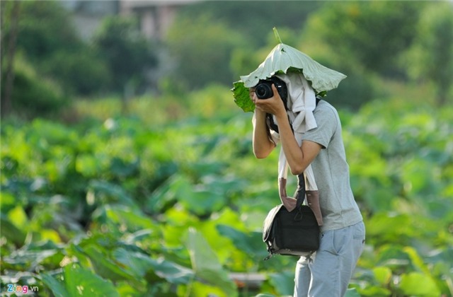 Gioi tre Ha thanh doi nang tao dang voi sen mat mua hinh anh 14