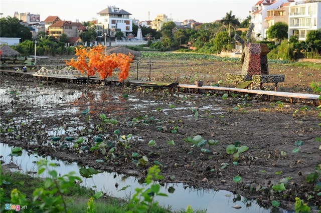 Gioi tre Ha thanh doi nang tao dang voi sen mat mua hinh anh 3