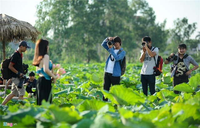Gioi tre Ha thanh doi nang tao dang voi sen mat mua hinh anh 4